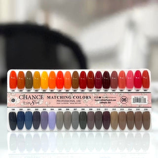 Chance Matching Duo 0.5oz - 36 Colors #181 - #216 - Brown/Grey Shades Collection w/ 2 set Color Chart