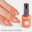 OT01 Orange Cream Soda