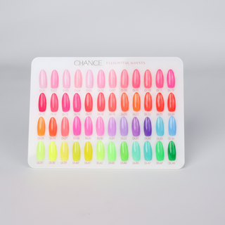 Chance Counter Display Color Chart - Delightful Guests Collection 48 colors